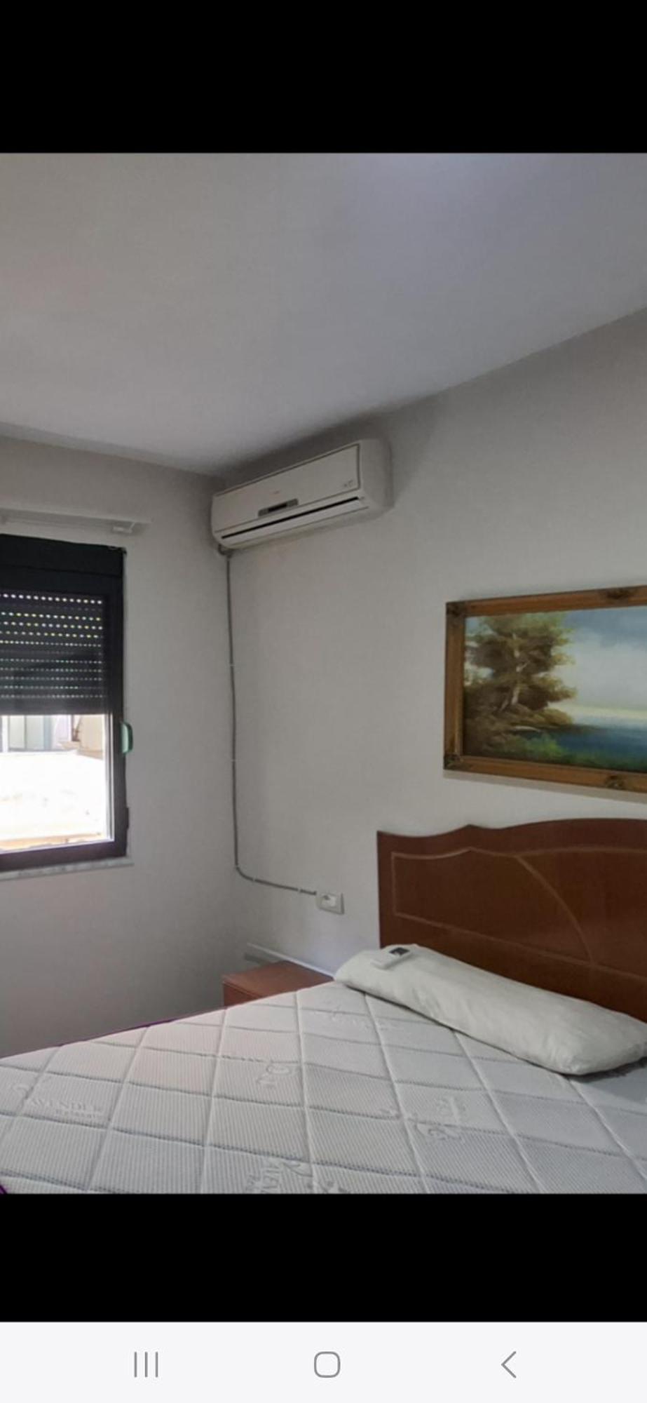 Pine 2 1 * Golem (Tirana)